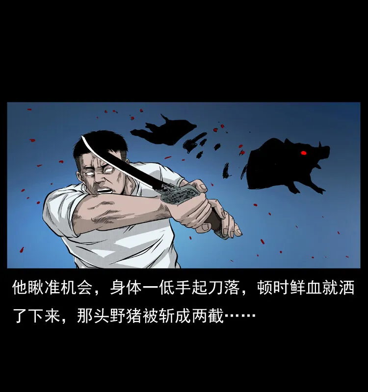 057 大战野猪妖 第42页