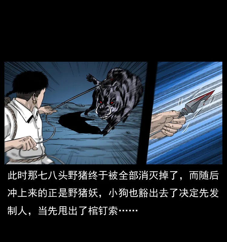 057 大战野猪妖 第55页