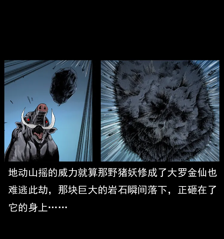 057 大战野猪妖 第74页