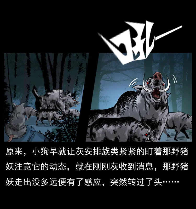 056 得虬骨 第50页
