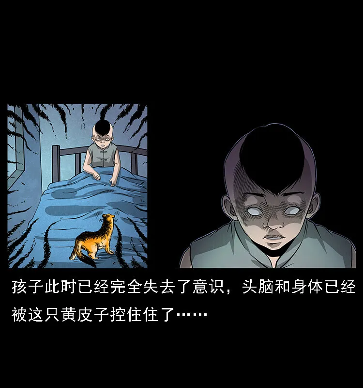 063 义庄 第52页
