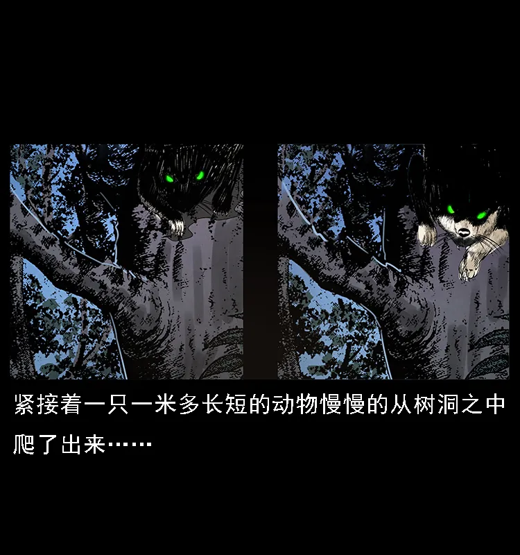063 义庄 第71页