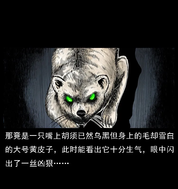063 义庄 第72页