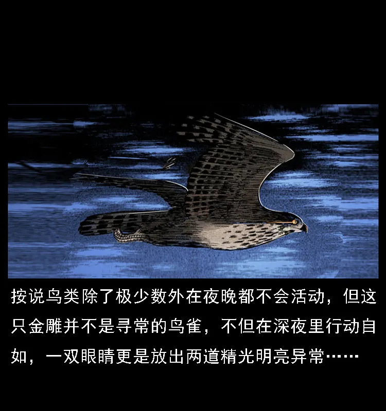 062 绣花婆婆 第53页