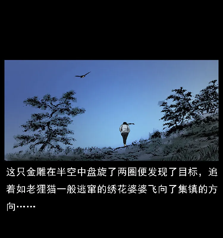 062 绣花婆婆 第54页
