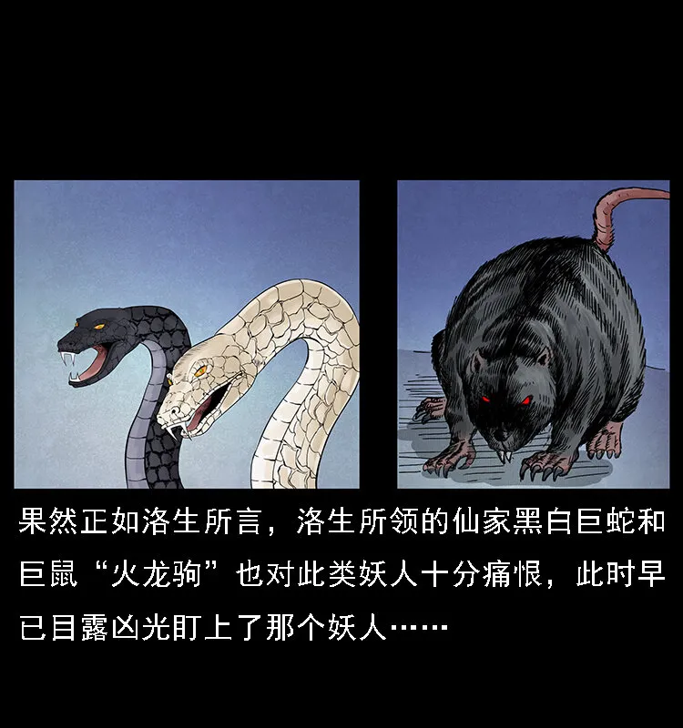 064 役兽妖人 第20页