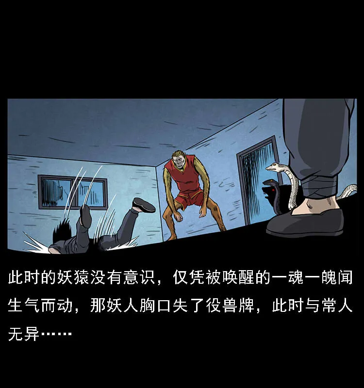 064 役兽妖人 第65页