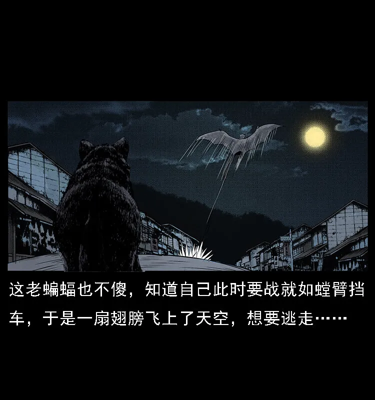 068 京城锁龙井 第34页