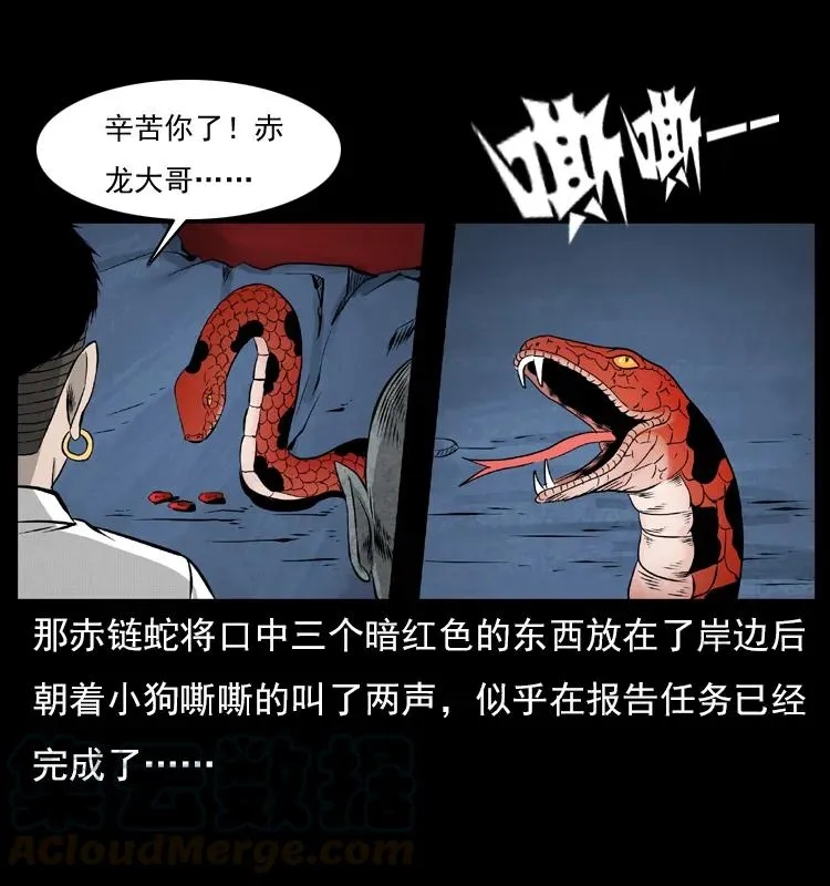 069 黄金尸首 第29页
