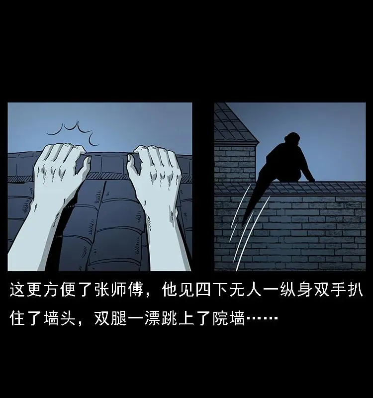 076 守宫 第12页