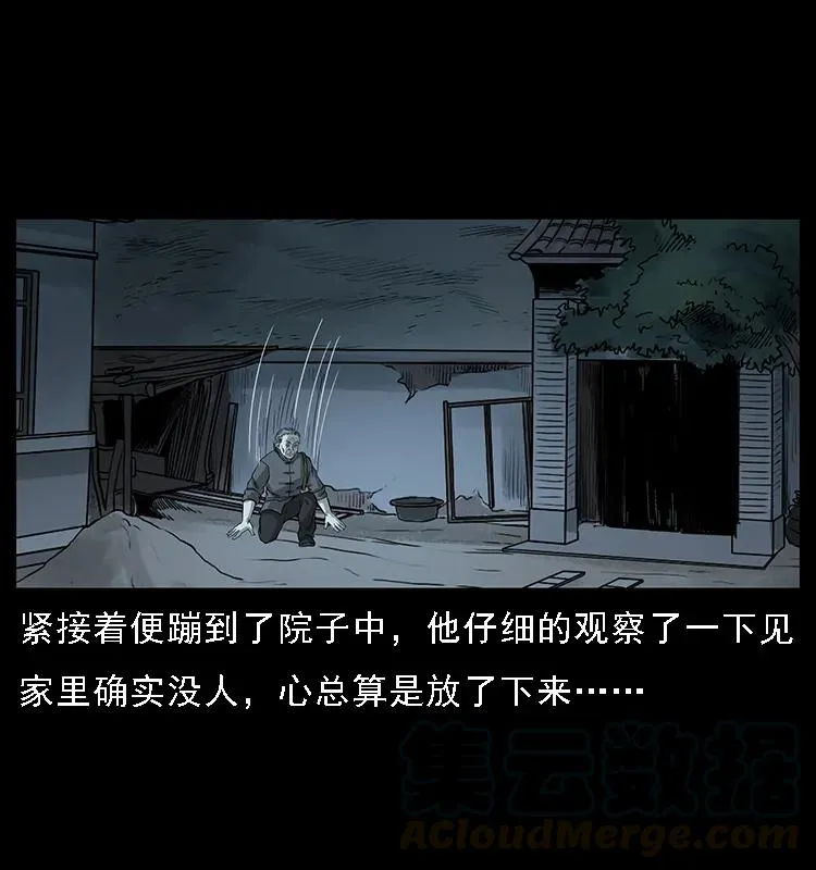 076 守宫 第13页