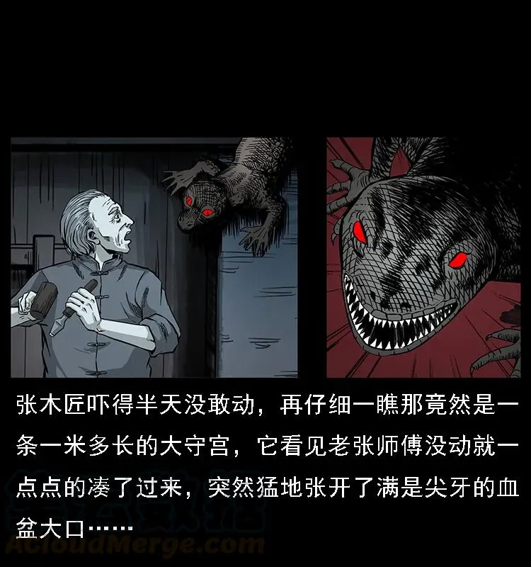 076 守宫 第19页