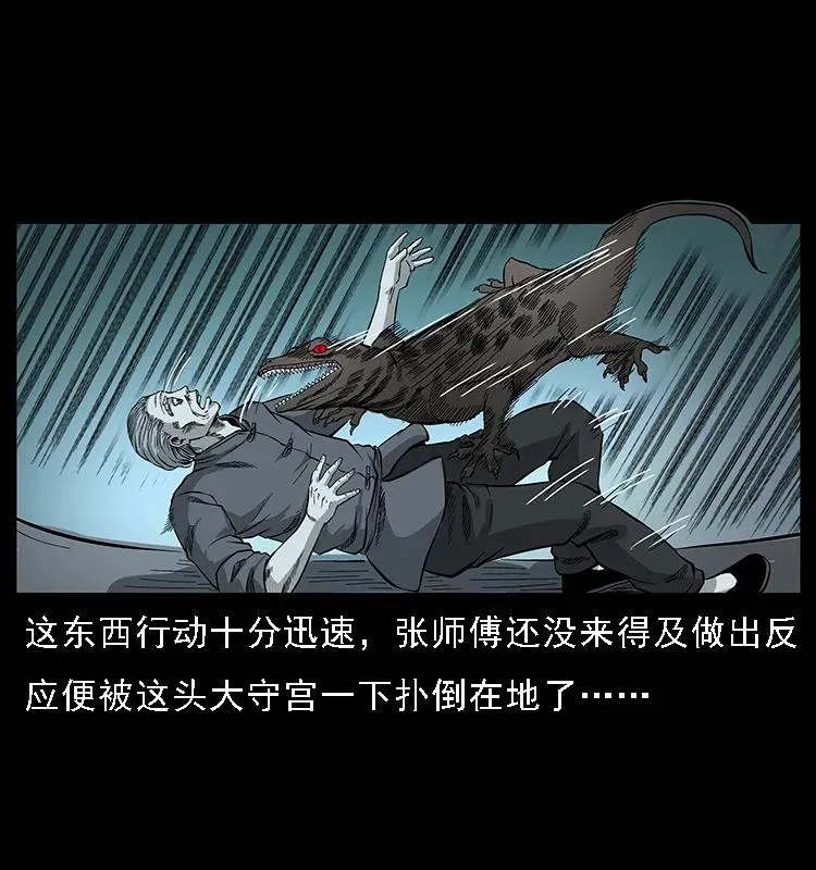 076 守宫 第20页