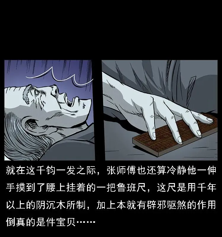 076 守宫 第21页