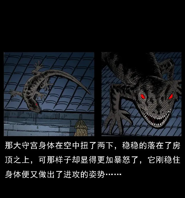 076 守宫 第23页