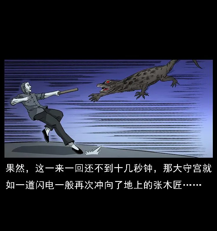 076 守宫 第24页