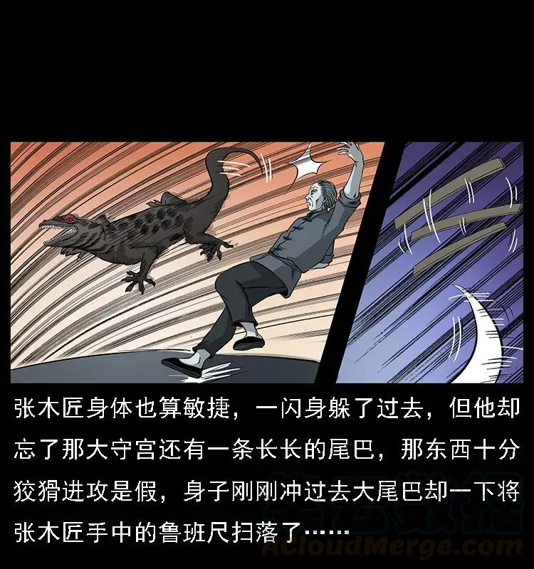 076 守宫 第25页