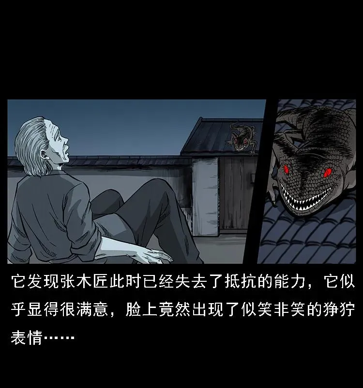 076 守宫 第27页