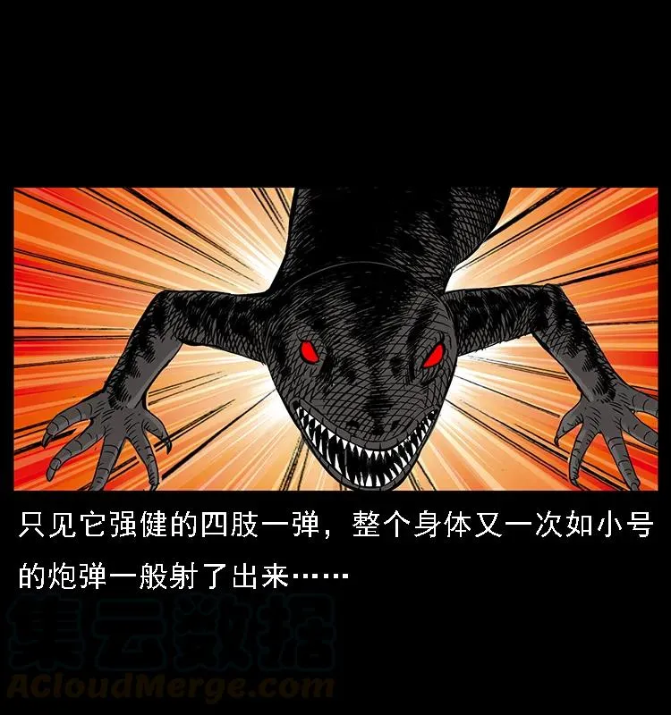 076 守宫 第28页