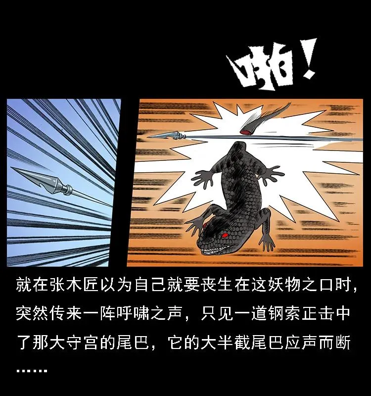 076 守宫 第29页