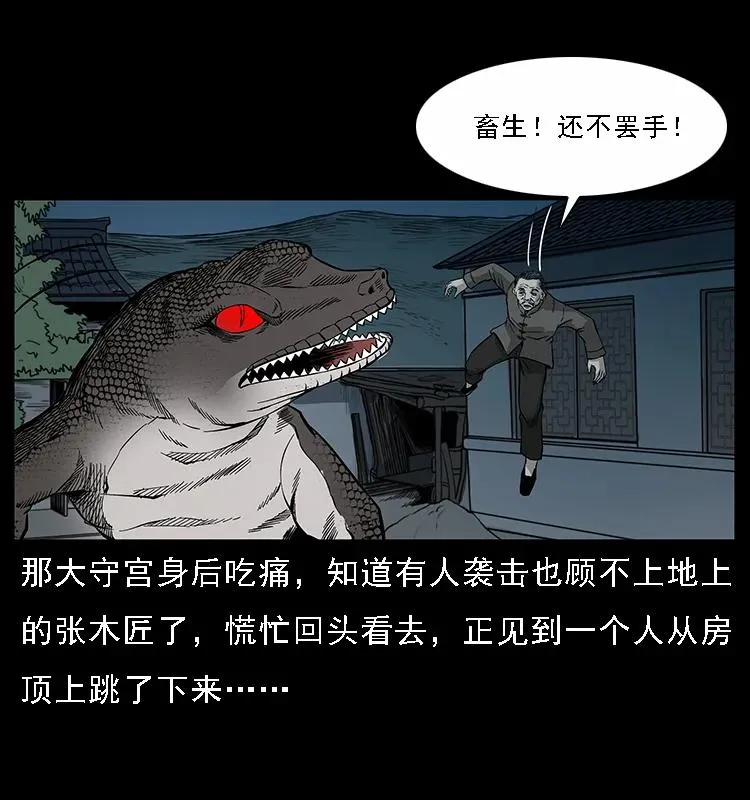 076 守宫 第30页