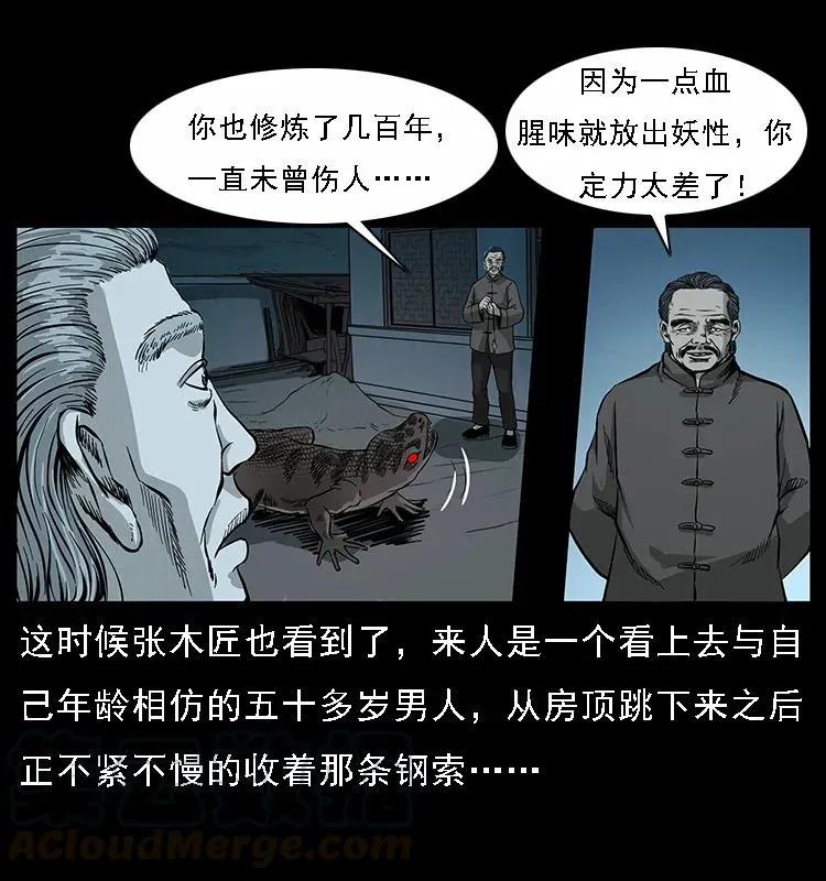 076 守宫 第31页
