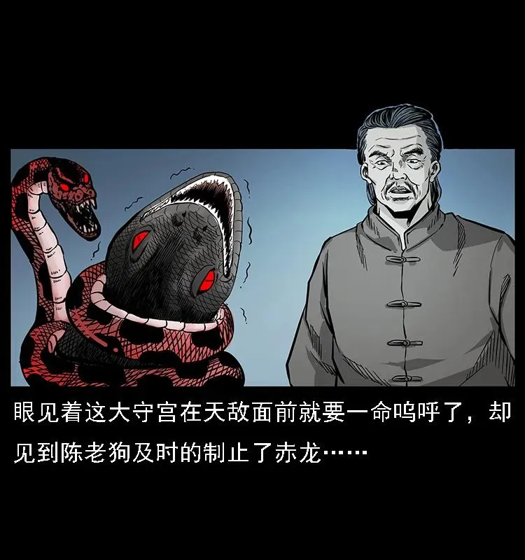 076 守宫 第35页