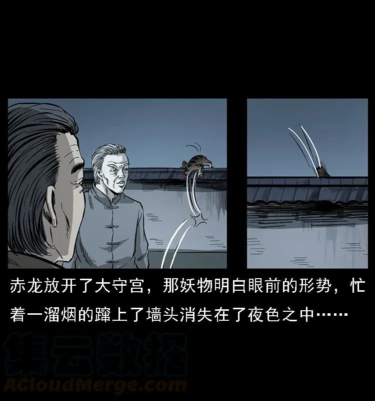 076 守宫 第37页
