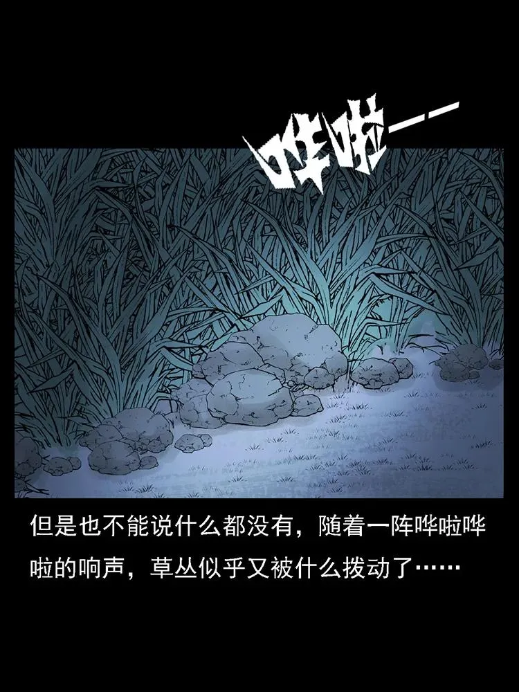 番外2 之保家白仙 第30页