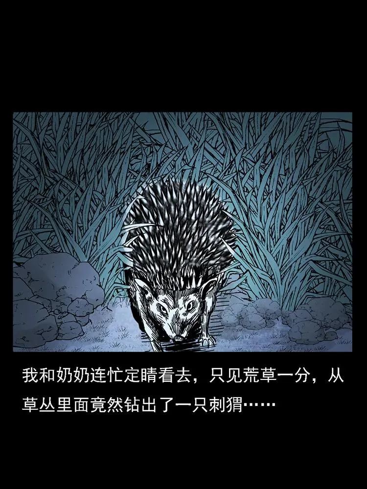 番外2 之保家白仙 第31页