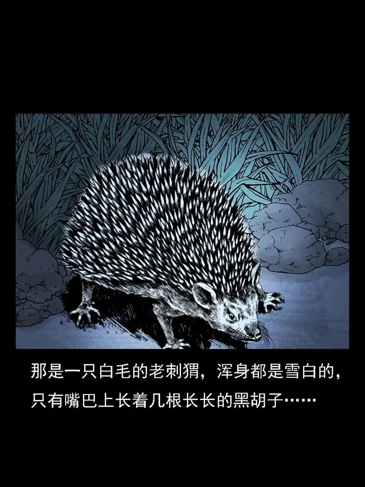 番外2 之保家白仙 第32页