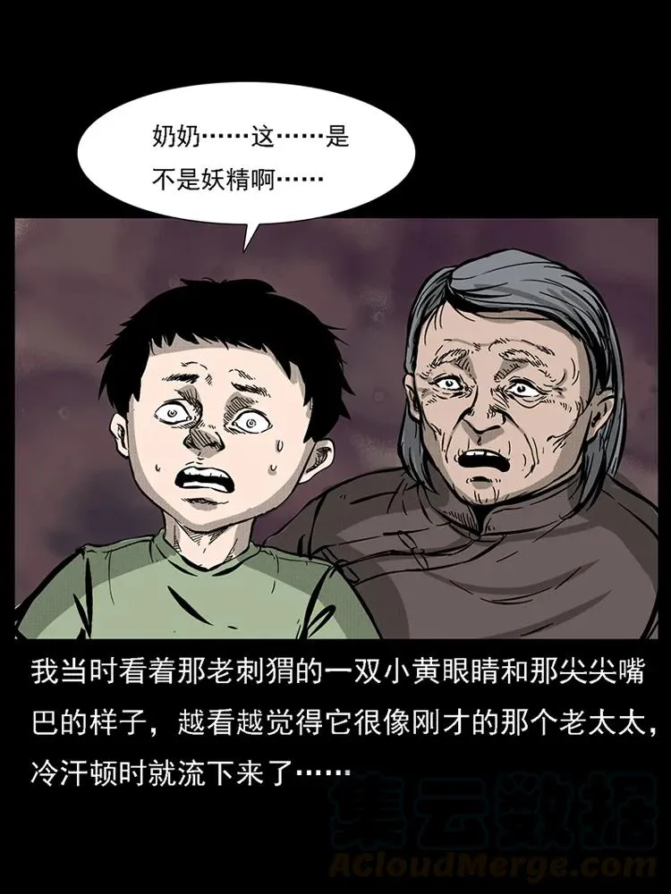 番外2 之保家白仙 第33页