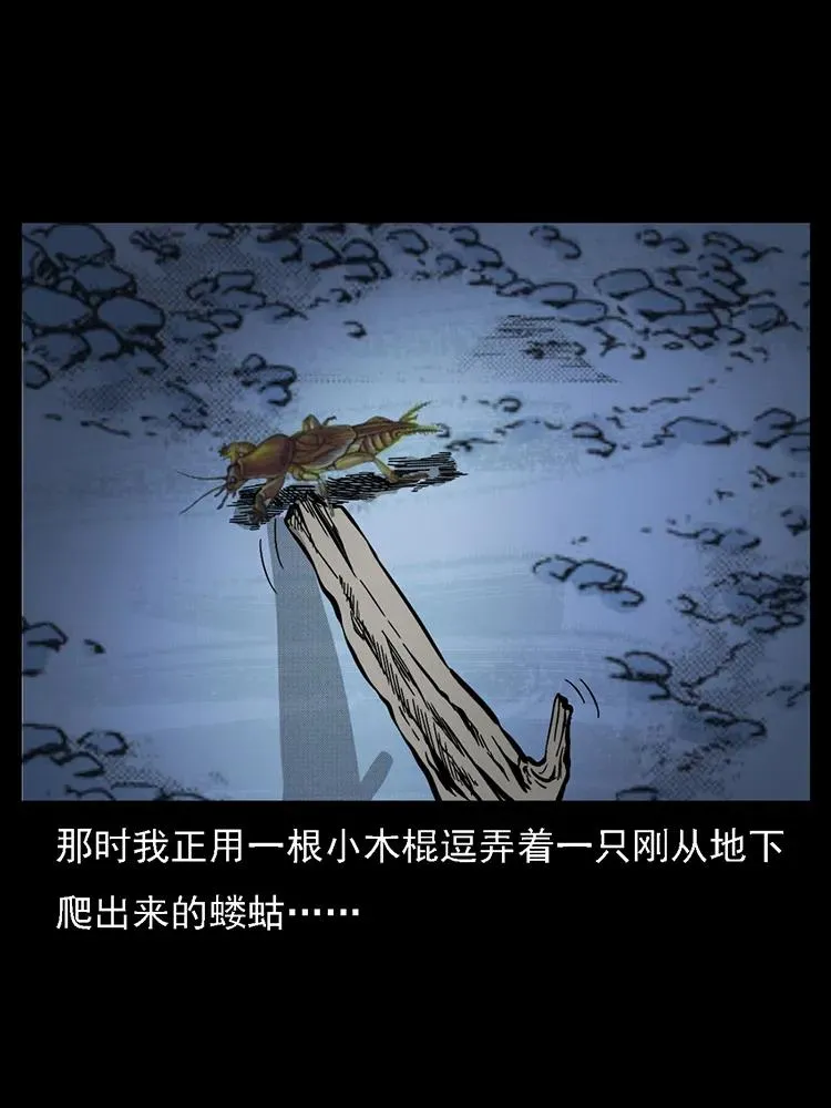 番外2 之保家白仙 第46页