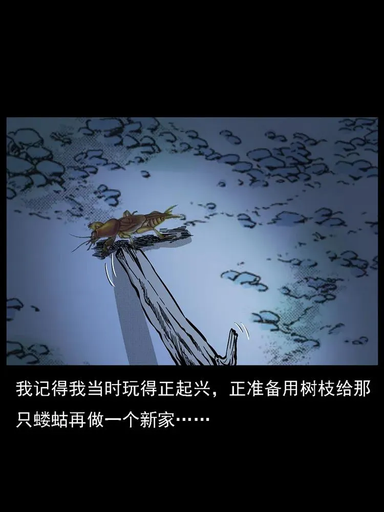 番外2 之保家白仙 第48页