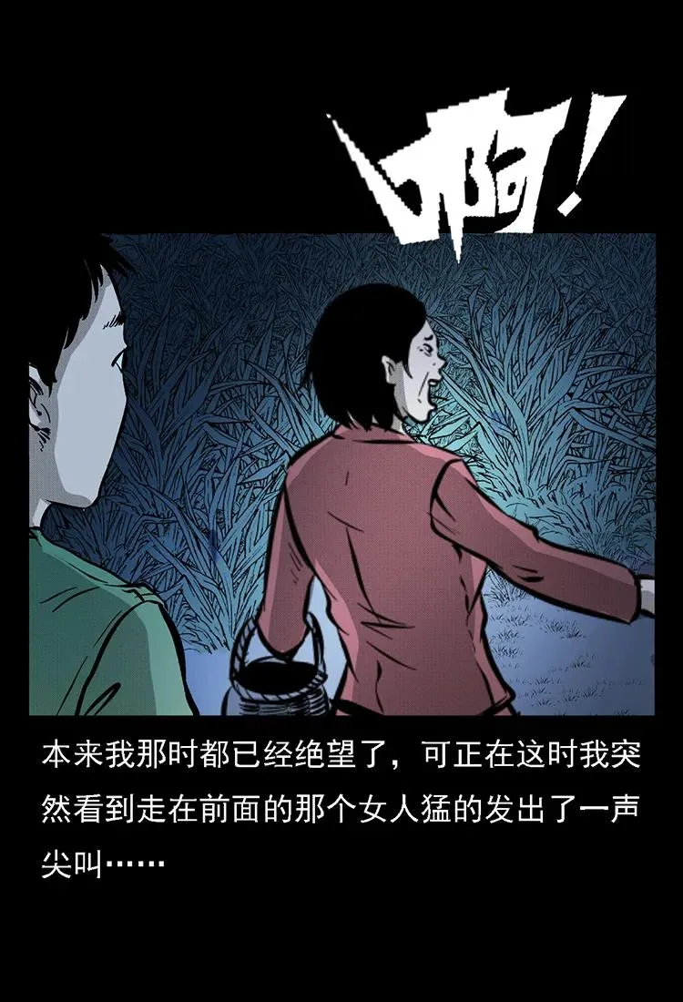 番外2 之保家白仙 第62页