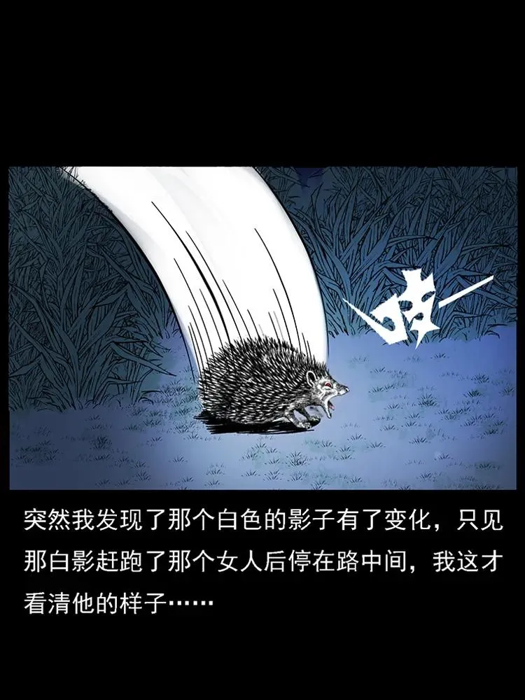番外2 之保家白仙 第71页