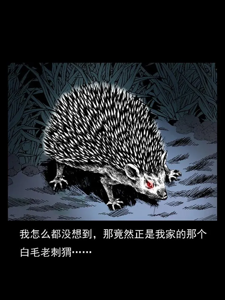 番外2 之保家白仙 第72页