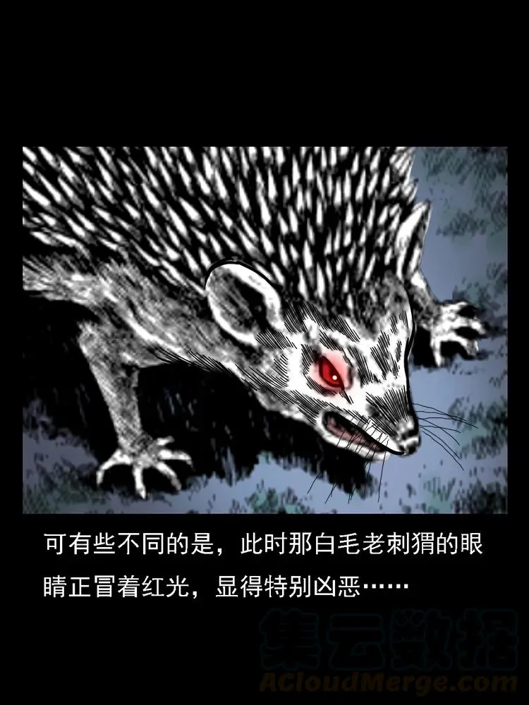 番外2 之保家白仙 第73页