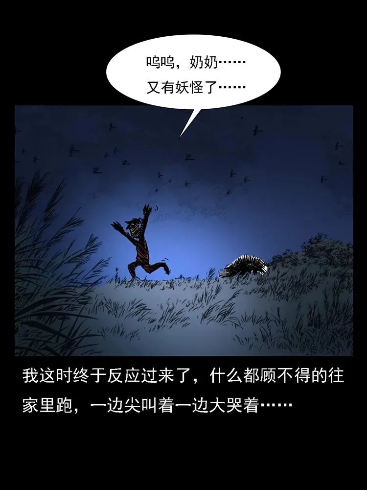 番外2 之保家白仙 第74页