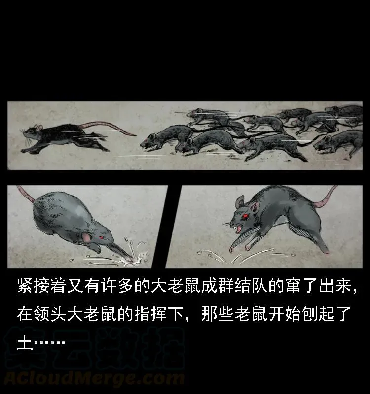 080 阴差秦七 第53页