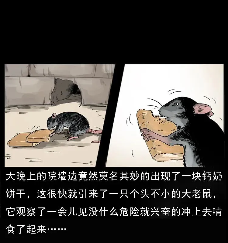082 鬼桃树 第3页