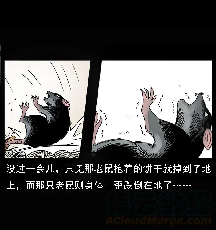 082 鬼桃树 第5页