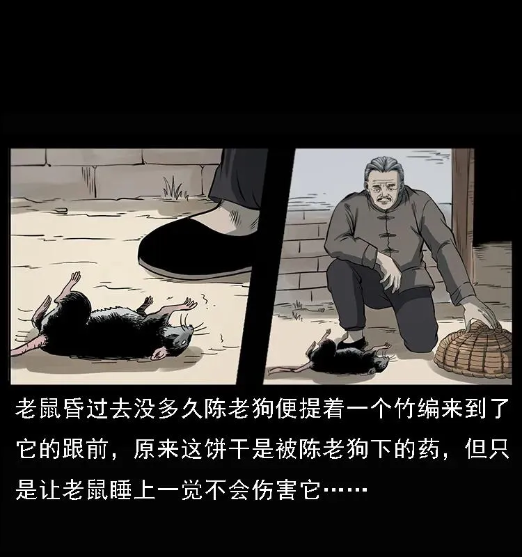 082 鬼桃树 第6页
