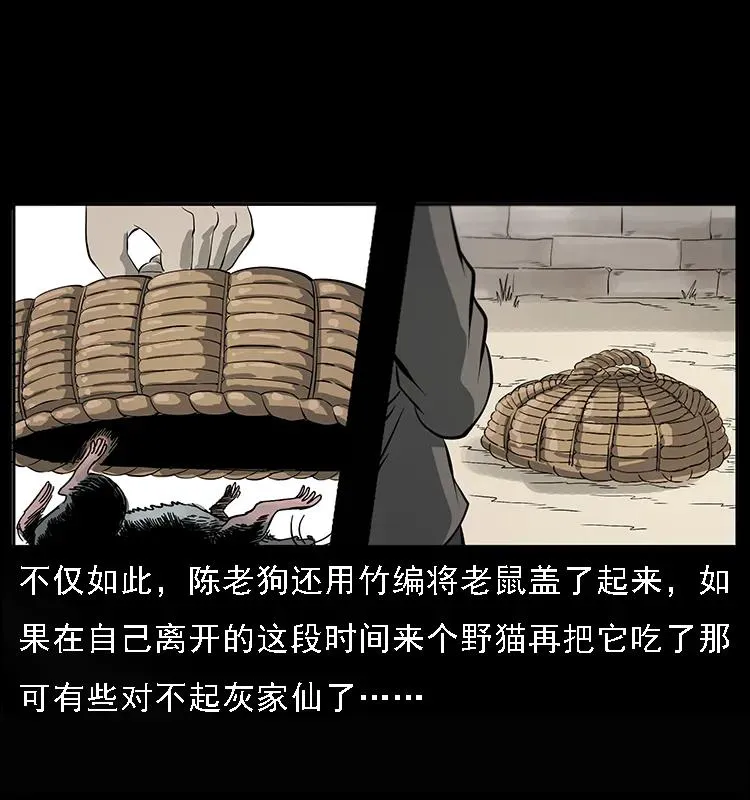 082 鬼桃树 第7页