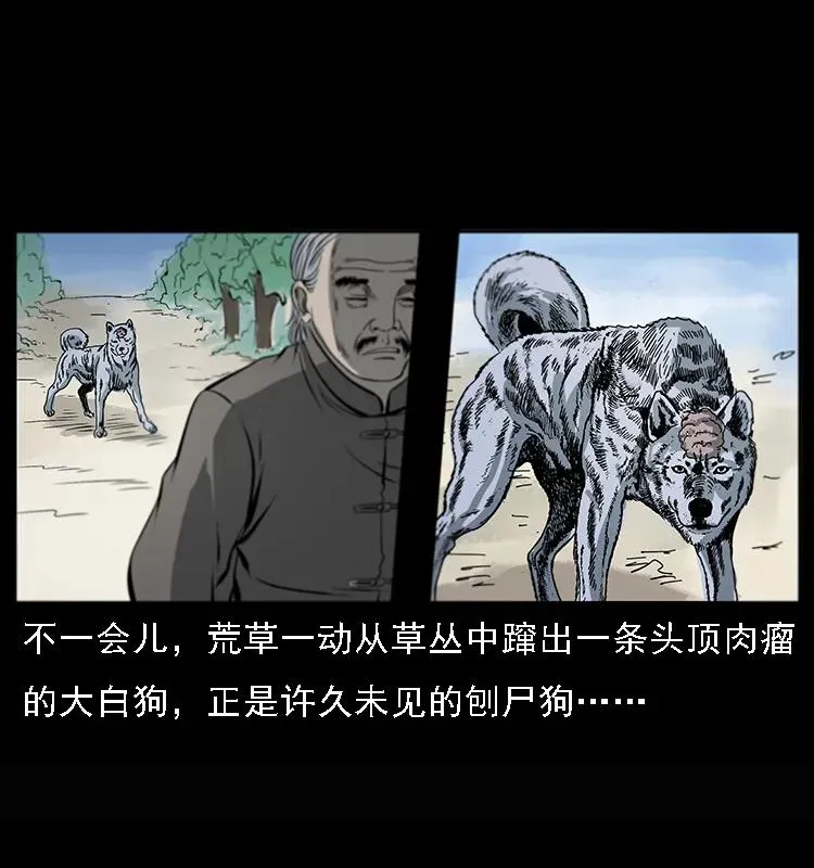 082 鬼桃树 第11页