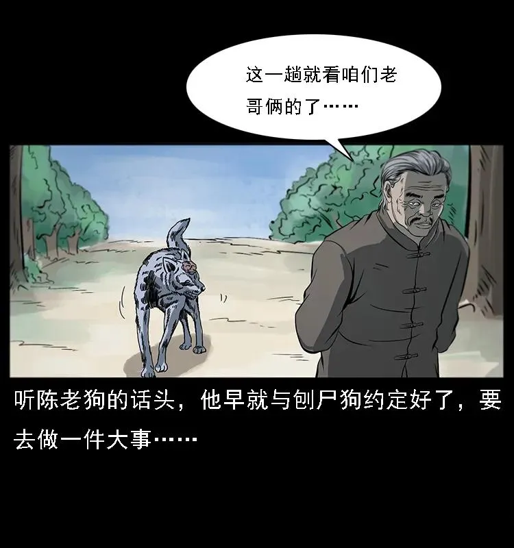 082 鬼桃树 第12页