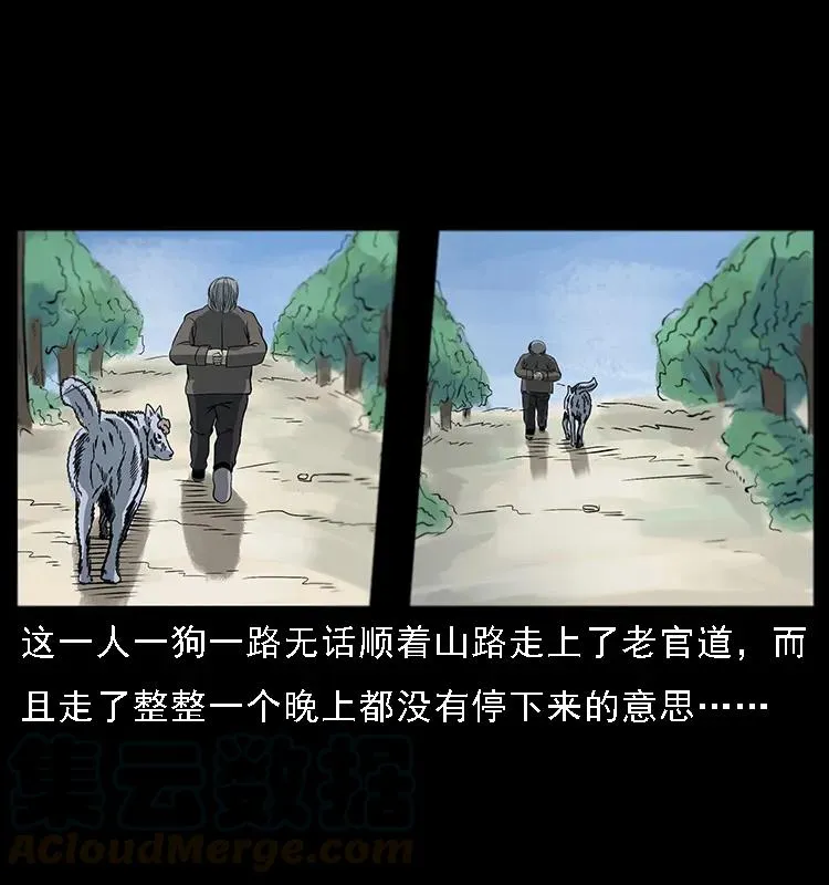 082 鬼桃树 第13页