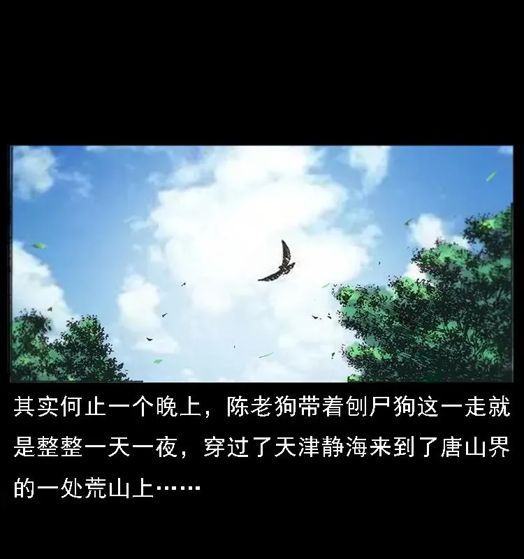 082 鬼桃树 第14页