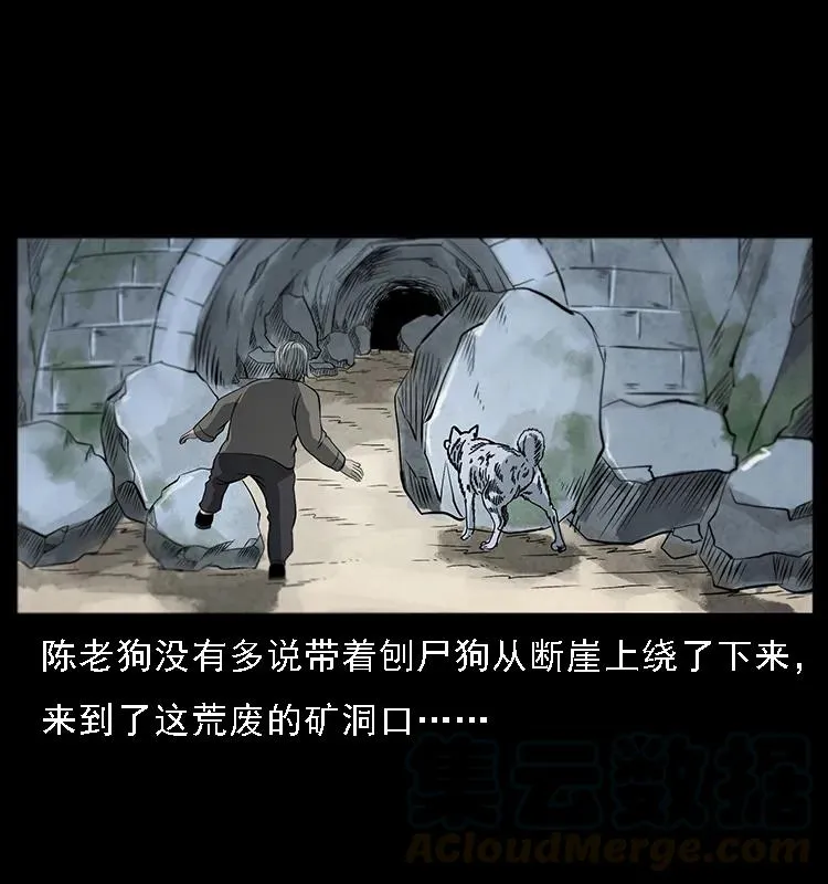 082 鬼桃树 第17页
