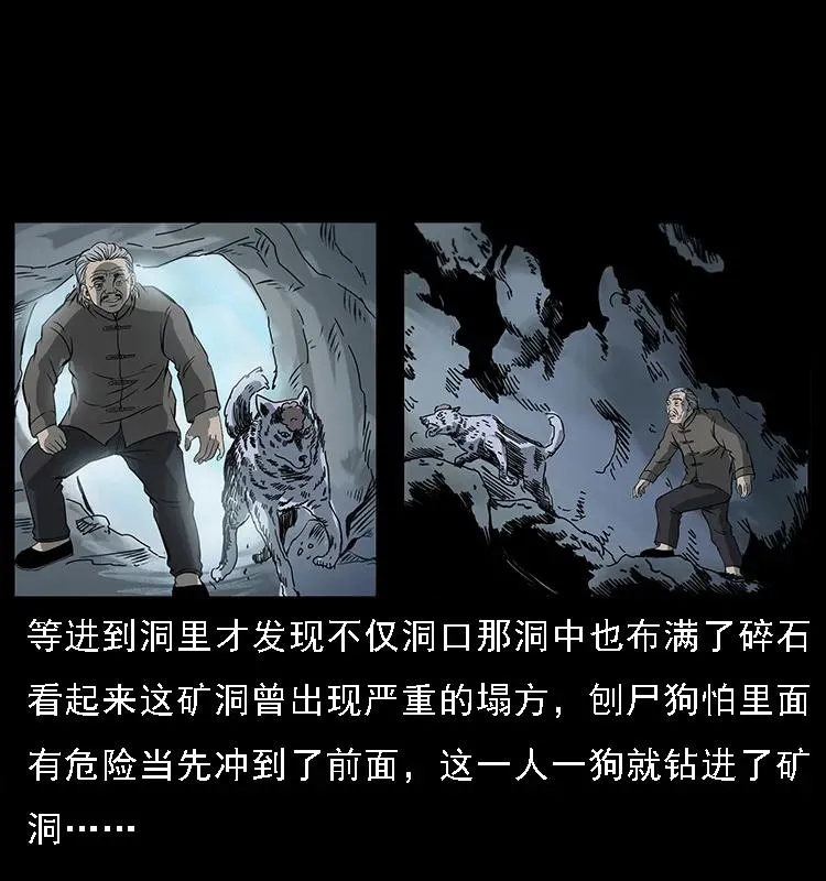 082 鬼桃树 第18页